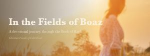 In the Fields of Boaz — series masthead