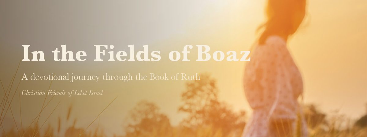 In the Fields of Boaz — series masthead