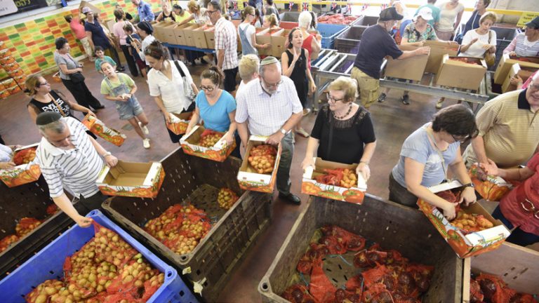 Volunteers in a warehouse sorting boxes of rescued produce