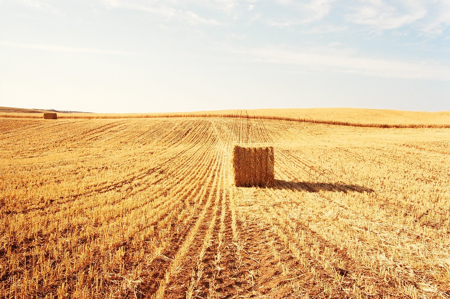 A harvested grain field in Israel under a bright sky, golden stubble with a single bale of straw